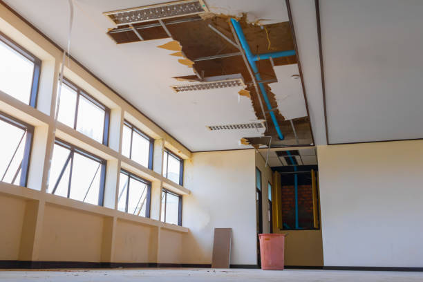 Best Flood damage cleanup  in Thompson Falls, MT
