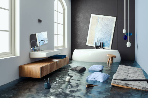 Best Carpet water damage restoration  in Thompson Falls, MT