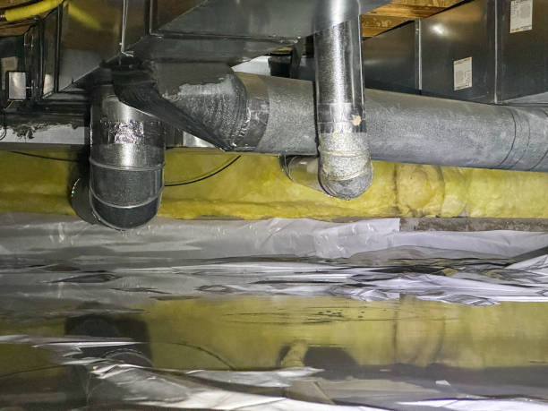 Best Flood restoration services  in Thompson Falls, MT