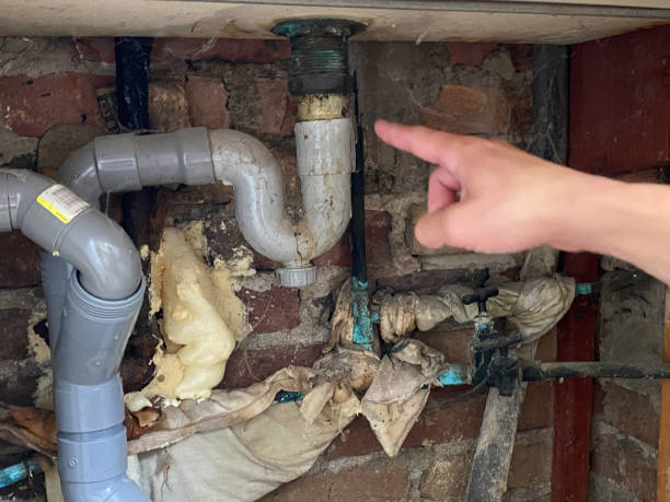  Thompson Falls, MT Water damage restoration Pros